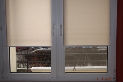 DSCF0483