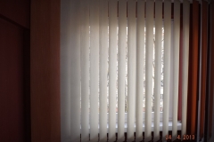DSCF0665